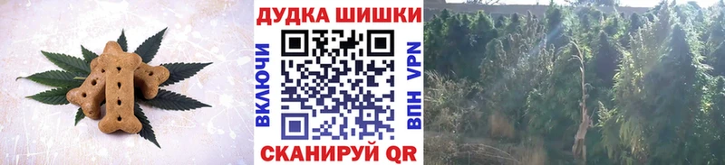 где купить наркотик  кракен ONION  Печенье с ТГК марихуана  Нелидово 