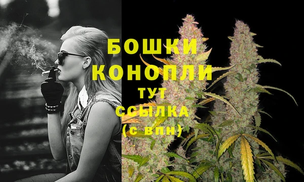 PSILOCYBIN Баксан