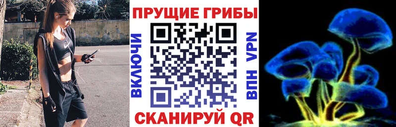 купить   блэк спрут зеркало  Галлюциногенные грибы ЛСД  площадка Telegram  Нелидово 